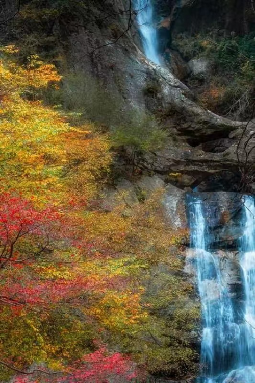 1697001663759902.png 1697001663759902.png