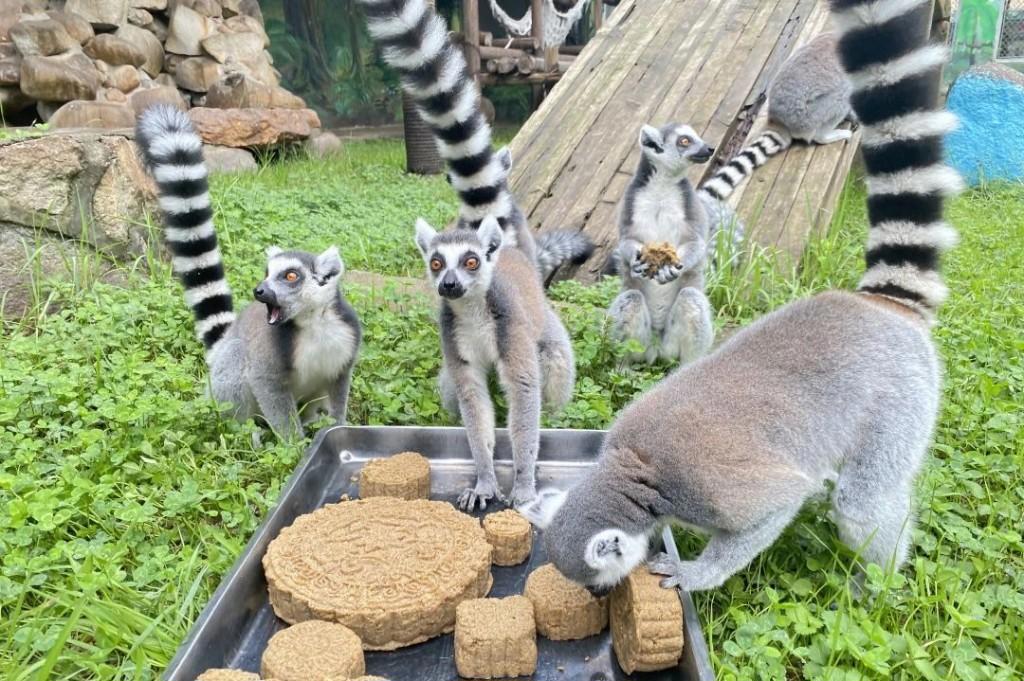 10391356_936e15c2-6242-4bc2-b28a-c92209a7c500copy.jpg 10391356_936e15c2-6242-4bc2-b28a-c92209a7c500copy.jpg