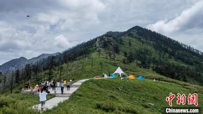 圖為游人在秦嶺山間踏青?！≈烊竾?guó)家森林公園供圖