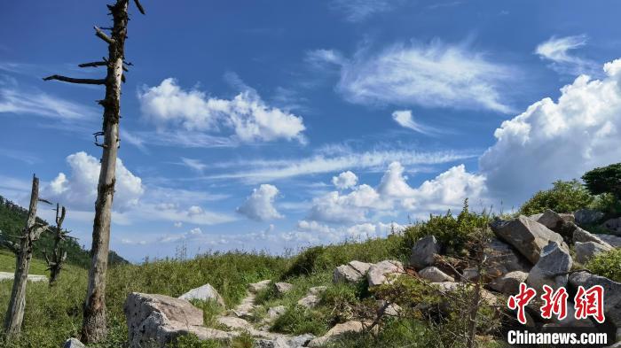圖為秦嶺山間一景?！≈烊竾?guó)家森林公園供圖