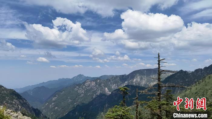 圖為綿延的秦嶺山巒?！≈烊竾?guó)家森林公園供圖