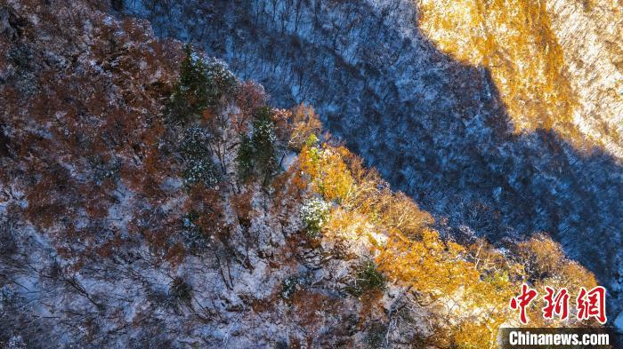 圖為金色晨光“綴”崖間?！√絿疑止珗@供圖